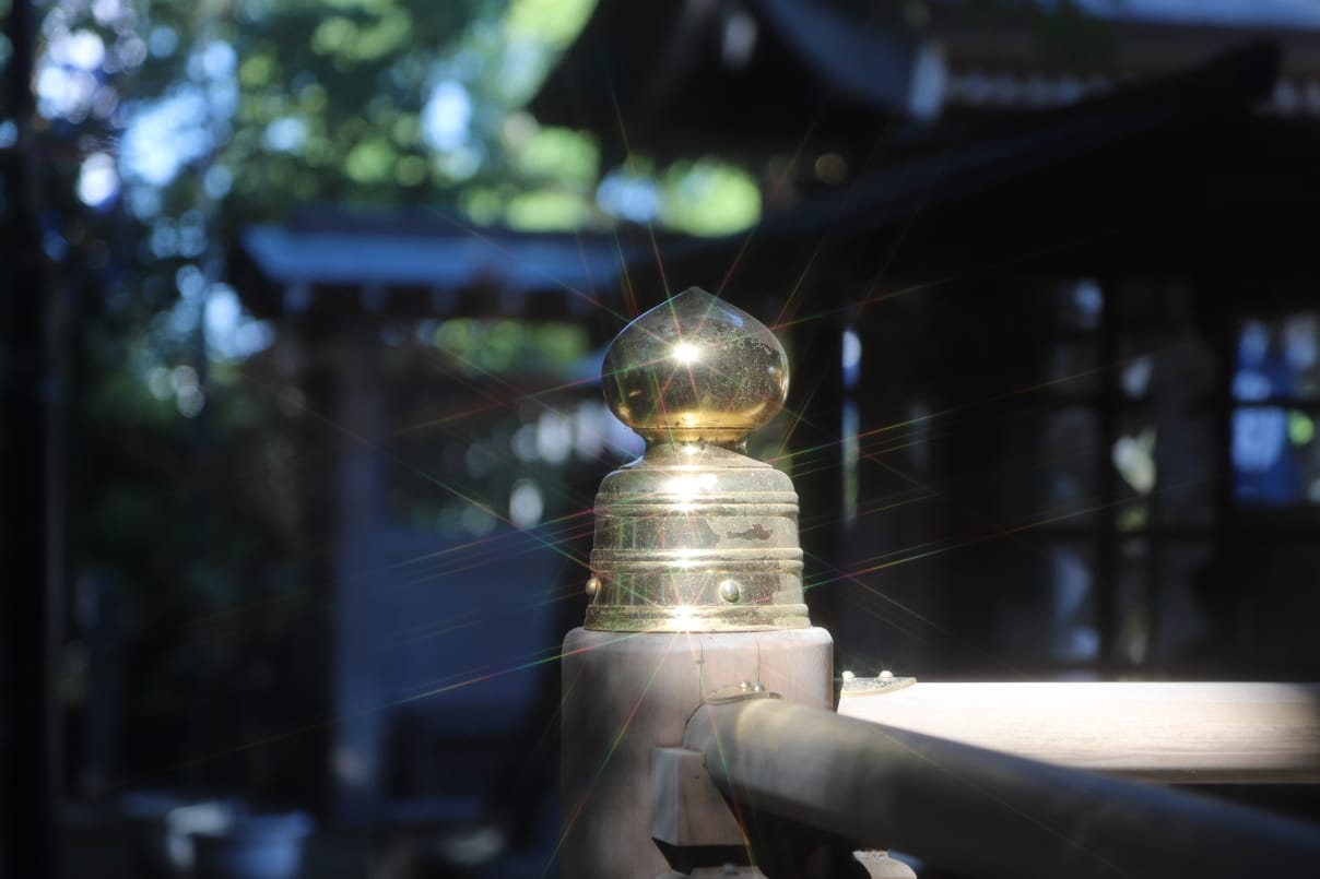 資格は